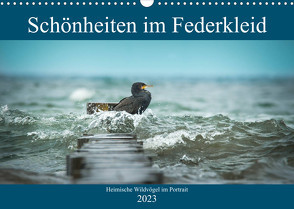 Schönheiten im Federkleid – Heimische Wildvögel im Portrait (Wandkalender 2023 DIN A3 quer) von Grahneis,  Sabine