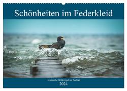 Schönheiten im Federkleid – Heimische Wildvögel im Portrait (Wandkalender 2024 DIN A2 quer), CALVENDO Monatskalender von Grahneis,  Sabine
