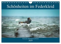 Schönheiten im Federkleid – Heimische Wildvögel im Portrait (Wandkalender 2024 DIN A4 quer), CALVENDO Monatskalender von Grahneis,  Sabine