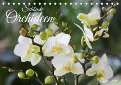 Schönste Orchideen (Tischkalender 2024 DIN A5 quer), CALVENDO Monatskalender von Kruse,  Gisela