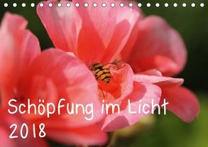 Schöpfung im Licht (Tischkalender 2018 DIN A5 quer) von Hildebrand,  Katrin