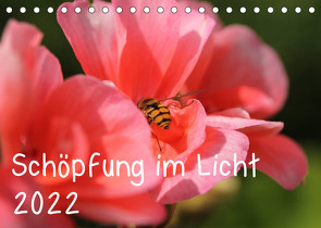 Schöpfung im Licht (Tischkalender 2022 DIN A5 quer) von Hildebrand,  Katrin