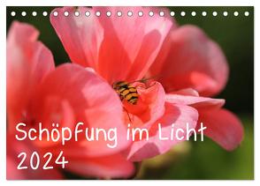 Schöpfung im Licht (Tischkalender 2024 DIN A5 quer), CALVENDO Monatskalender von Hildebrand,  Katrin