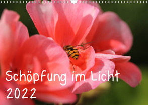 Schöpfung im Licht (Wandkalender 2022 DIN A3 quer) von Hildebrand,  Katrin