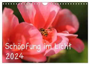 Schöpfung im Licht (Wandkalender 2024 DIN A4 quer), CALVENDO Monatskalender von Hildebrand,  Katrin