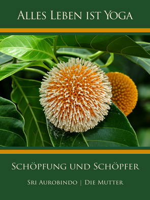 Schöpfung und Schöpfer von Aurobindo,  Sri, Mutter,  Die (d.i. Mira Alfassa)