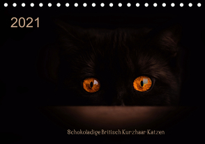 Schokoladige Britisch Kurzhaar Katzen (Tischkalender 2021 DIN A5 quer) von Bürger,  Janina