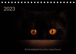 Schokoladige Britisch Kurzhaar Katzen (Tischkalender 2023 DIN A5 quer) von Bürger,  Janina