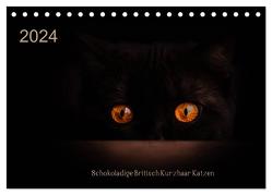 Schokoladige Britisch Kurzhaar Katzen (Tischkalender 2024 DIN A5 quer), CALVENDO Monatskalender von Bürger,  Janina
