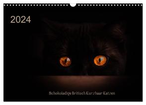 Schokoladige Britisch Kurzhaar Katzen (Wandkalender 2024 DIN A3 quer), CALVENDO Monatskalender von Bürger,  Janina