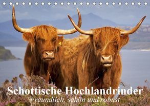 Schottische Hochlandrinder. Freundlich, schön und robust (Tischkalender 2018 DIN A5 quer) von Stanzer,  Elisabeth
