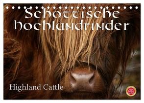 Schottische Hochlandrinder – Highland Cattle (Tischkalender 2024 DIN A5 quer), CALVENDO Monatskalender von Cross,  Martina