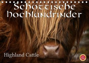 Schottische Hochlandrinder – Highland CattleAT-Version (Tischkalender 2019 DIN A5 quer) von Cross,  Martina