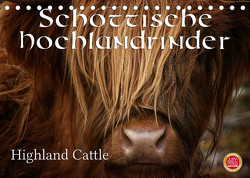 Schottische Hochlandrinder – Highland CattleAT-Version (Tischkalender 2023 DIN A5 quer) von Cross,  Martina