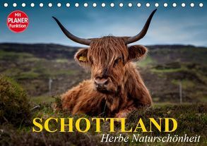 Schottland. Herbe Naturschönheit (Tischkalender 2019 DIN A5 quer) von Stanzer,  Elisabeth