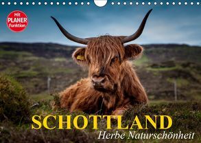 Schottland. Herbe Naturschönheit (Wandkalender 2019 DIN A4 quer) von Stanzer,  Elisabeth