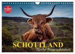 Schottland. Herbe Naturschönheit (Wandkalender 2024 DIN A4 quer), CALVENDO Monatskalender von Stanzer,  Elisabeth