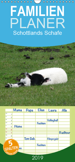 Schottlands Highland Schafe – Familienplaner hoch (Wandkalender 2019 , 21 cm x 45 cm, hoch) von ~bwd~