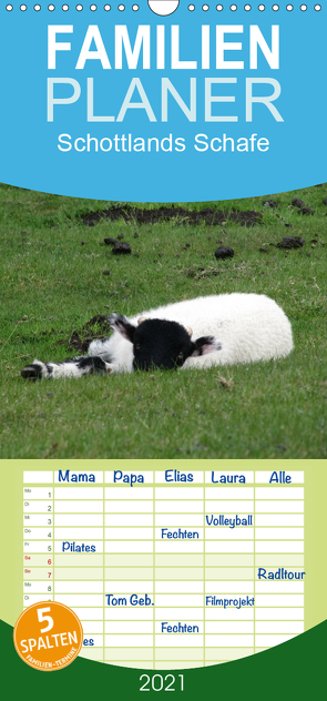 Schottlands Highland Schafe – Familienplaner hoch (Wandkalender 2021 , 21 cm x 45 cm, hoch) von ~bwd~