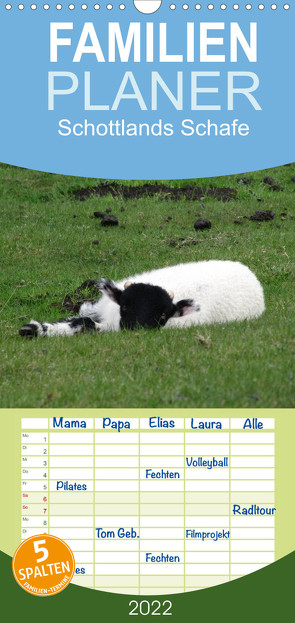 Familienplaner Schottlands Highland Schafe (Wandkalender 2022 , 21 cm x 45 cm, hoch) von ~bwd~