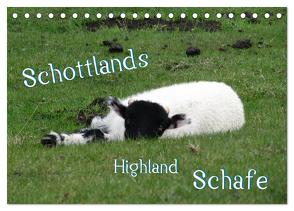 Schottlands Highland Schafe (Tischkalender 2024 DIN A5 quer), CALVENDO Monatskalender von ~bwd~,  ~bwd~