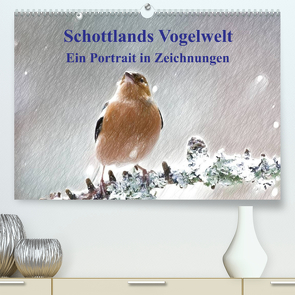 Schottlands Vogelwelt – Ein Porträt in Zeichnungen (Premium, hochwertiger DIN A2 Wandkalender 2023, Kunstdruck in Hochglanz) von Küster,  Friederike