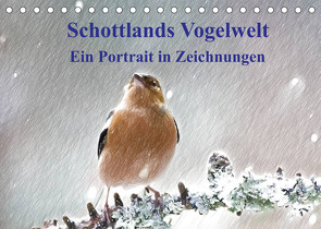 Schottlands Vogelwelt – Ein Porträt in Zeichnungen (Tischkalender 2022 DIN A5 quer) von Küster,  Friederike