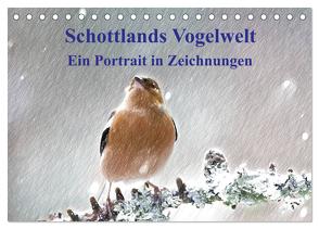 Schottlands Vogelwelt – Ein Porträt in Zeichnungen (Tischkalender 2024 DIN A5 quer), CALVENDO Monatskalender von Küster,  Friederike