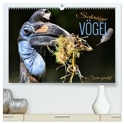 Schräge Vögel in Szene gesetzt (hochwertiger Premium Wandkalender 2024 DIN A2 quer), Kunstdruck in Hochglanz von Utz,  Renate