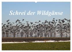 Schrei der Wildgänse (Wandkalender 2024 DIN A2 quer), CALVENDO Monatskalender von Poetsch,  Rolf