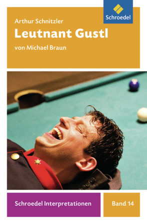 Schroedel Interpretationen von Braun,  Michael