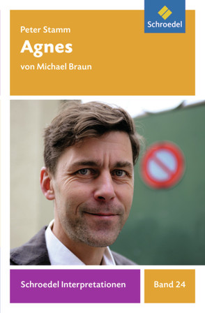 Schroedel Interpretationen von Braun,  Michael