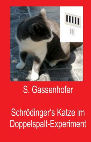 Schrödingers Katze im Doppelspalt-Experiment von Gassenhofer,  Silvia