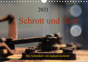 Schrott und Rost (Wandkalender 2021 DIN A4 quer) von Damm,  Anette