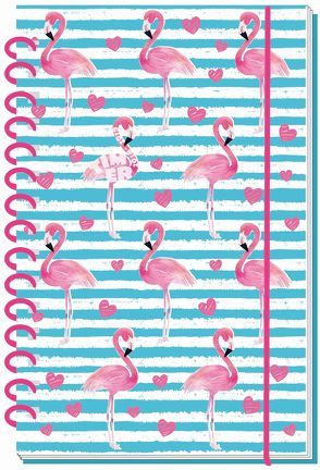 Schülerkalender Flamingo 18/19 – Schulplaner, Schülerplaner