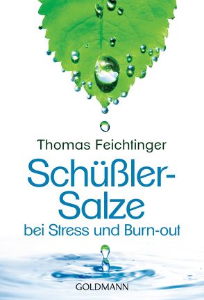 Schüßler-Salze bei Stress und Burn-out von Feichtinger,  Thomas