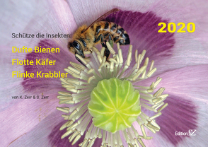 Schütze die Insekten: dufte Bienen, flotte Käfer, flinke Krabbler von Zerr,  Katharina, Zerr,  Sibylle