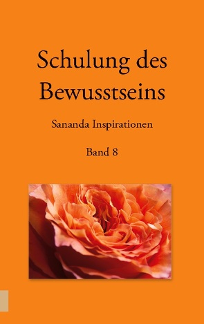 Schulung des Bewusstseins – Sananda Inspirationen von Kopka,  Martin, Stuckert,  Heike