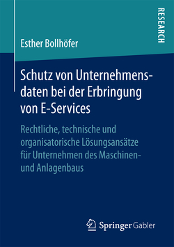 Schutz von Unternehmensdaten bei der Erbringung von E-Services von Bollhöfer,  Esther