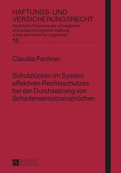 Schutzlücken im System effektiven Rechtsschutzes bei der Durchsetzung von Schadensersatzansprüchen von Fechner,  Claudia