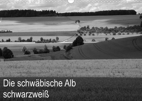 Schwäbische Alb schwarzweiß (Wandkalender 2022 DIN A3 quer) von Haas,  Willi