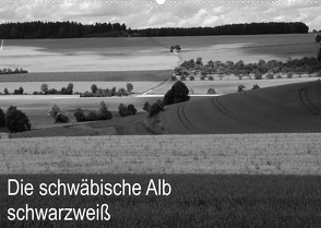 Schwäbische Alb schwarzweiß (Wandkalender 2023 DIN A2 quer) von Haas,  Willi
