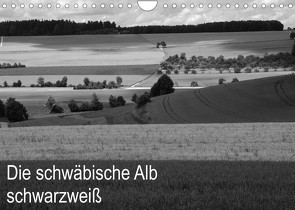 Schwäbische Alb schwarzweiß (Wandkalender 2023 DIN A4 quer) von Haas,  Willi