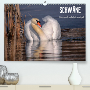 Schwäne – Beeindruckende Entenvögel (Premium, hochwertiger DIN A2 Wandkalender 2021, Kunstdruck in Hochglanz) von Erlwein,  Winfried