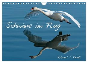 Schwäne im Flug (Wandkalender 2024 DIN A4 quer), CALVENDO Monatskalender von T. Frank,  Roland