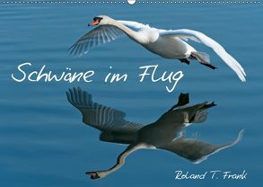 Schwäne im FlugCH-Version (Wandkalender 2019 DIN A2 quer) von T. Frank,  Roland