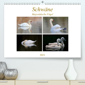 Schwäne – Majestätische Vögel (Premium, hochwertiger DIN A2 Wandkalender 2021, Kunstdruck in Hochglanz) von Bogner,  J.R.