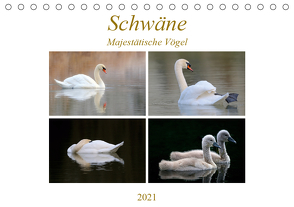 Schwäne – Majestätische Vögel (Tischkalender 2021 DIN A5 quer) von Bogner,  J.R.