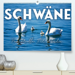 Schwäne – Prachtvolle Federkleider. (Premium, hochwertiger DIN A2 Wandkalender 2023, Kunstdruck in Hochglanz) von SF