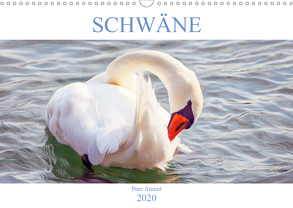 Schwäne – Pure Anmut (Wandkalender 2020 DIN A3 quer) von Brunner-Klaus,  Liselotte